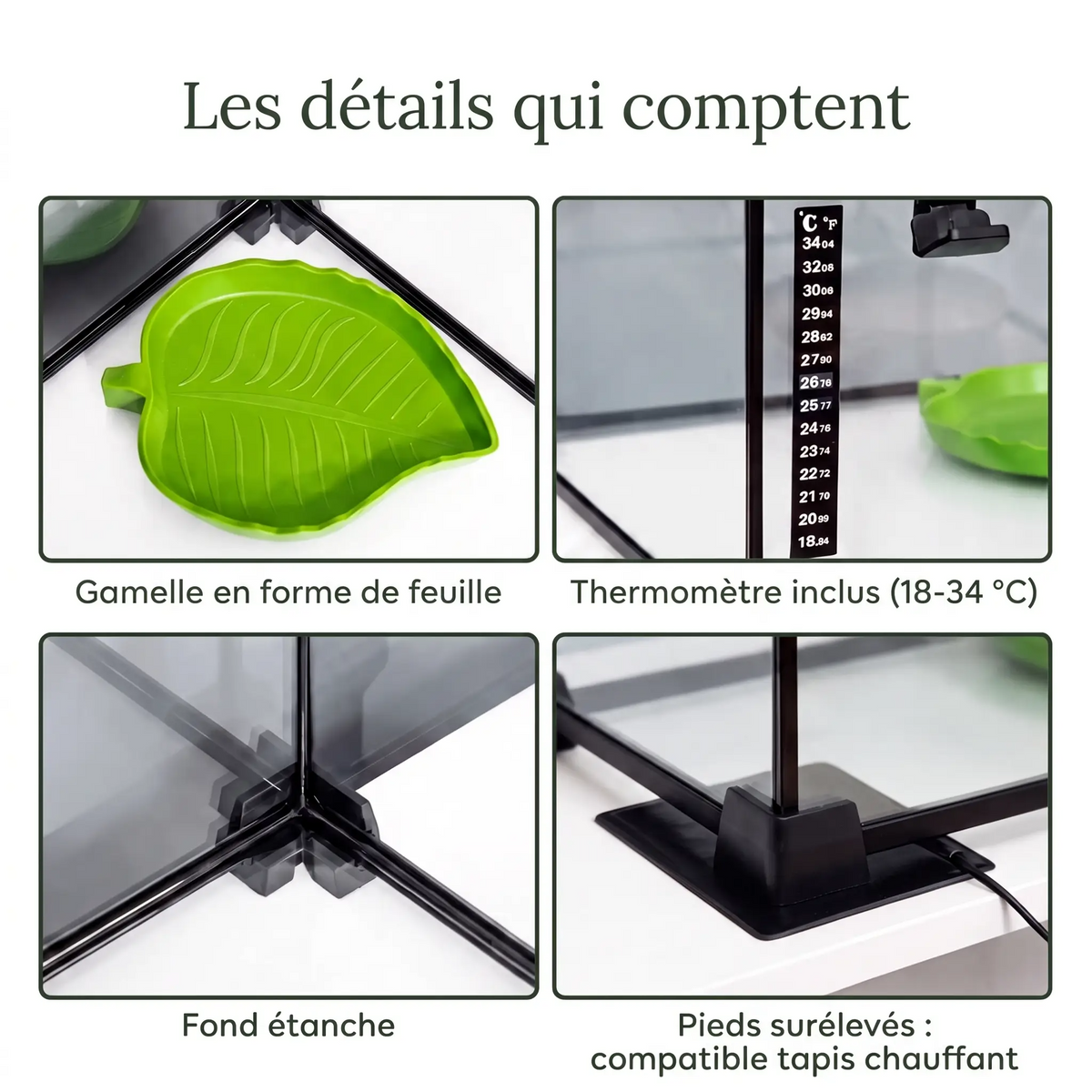 Terrarium reptile en verre 50x30x35 cm – Gecko, serpent, lézard