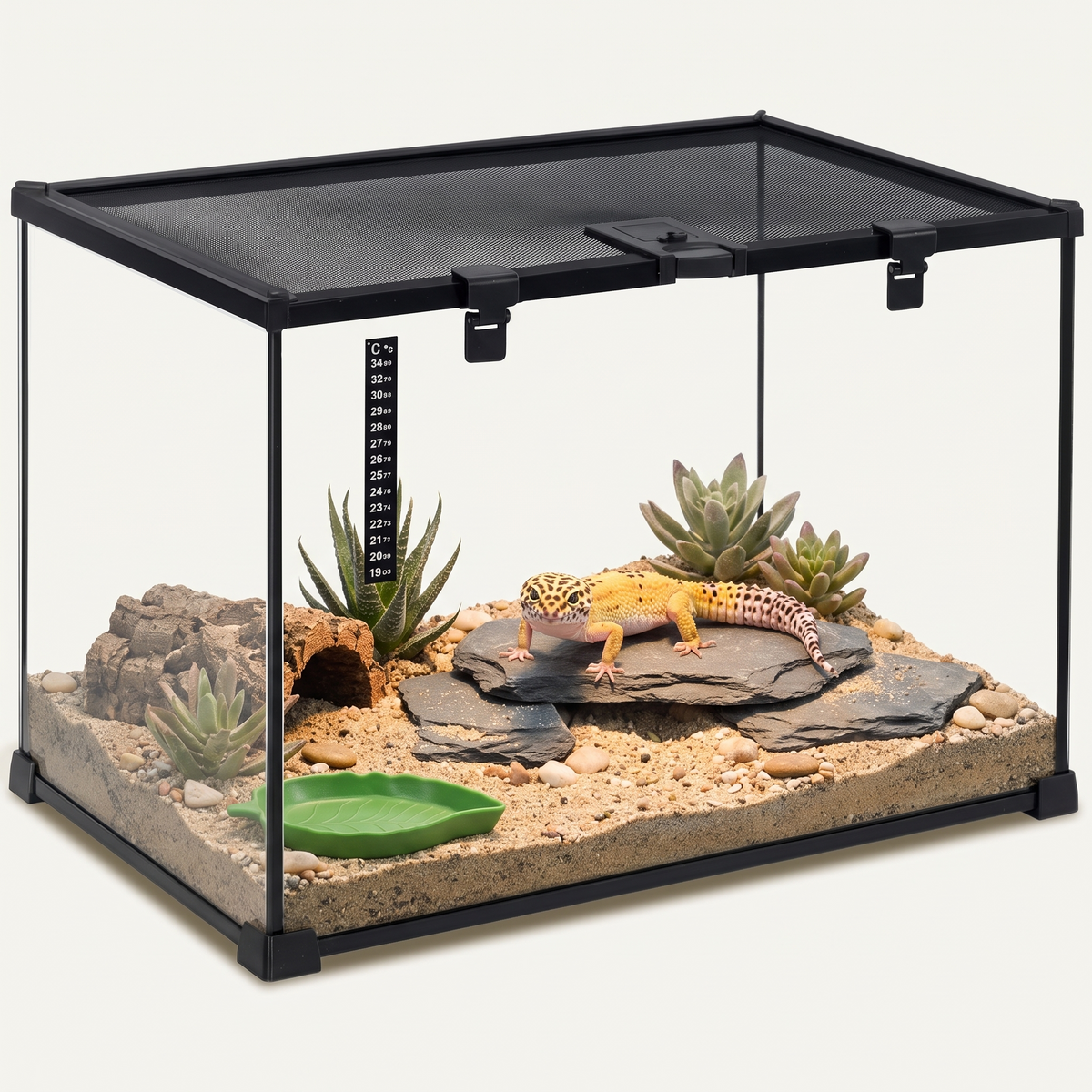 Terrarium reptile en verre 50x30x35 cm – Gecko, serpent, lézard